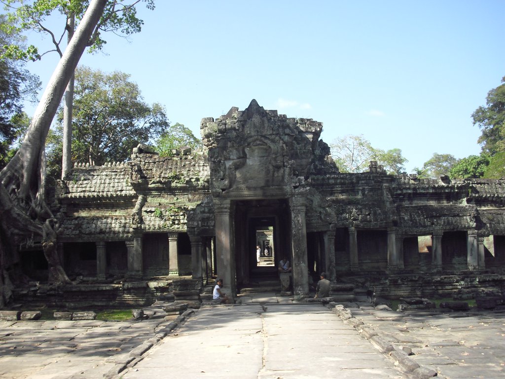 Image CIMG3175.JPG