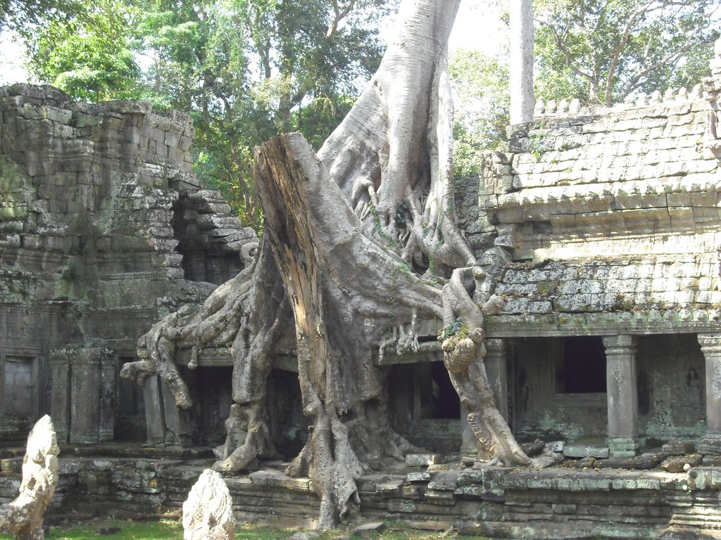 Image CIMG3176.JPG