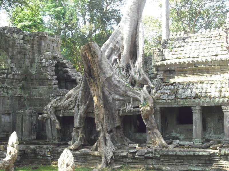 Image CIMG3176.JPG
