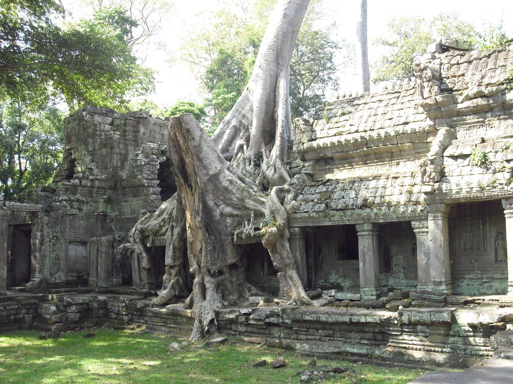Image CIMG3177.JPG