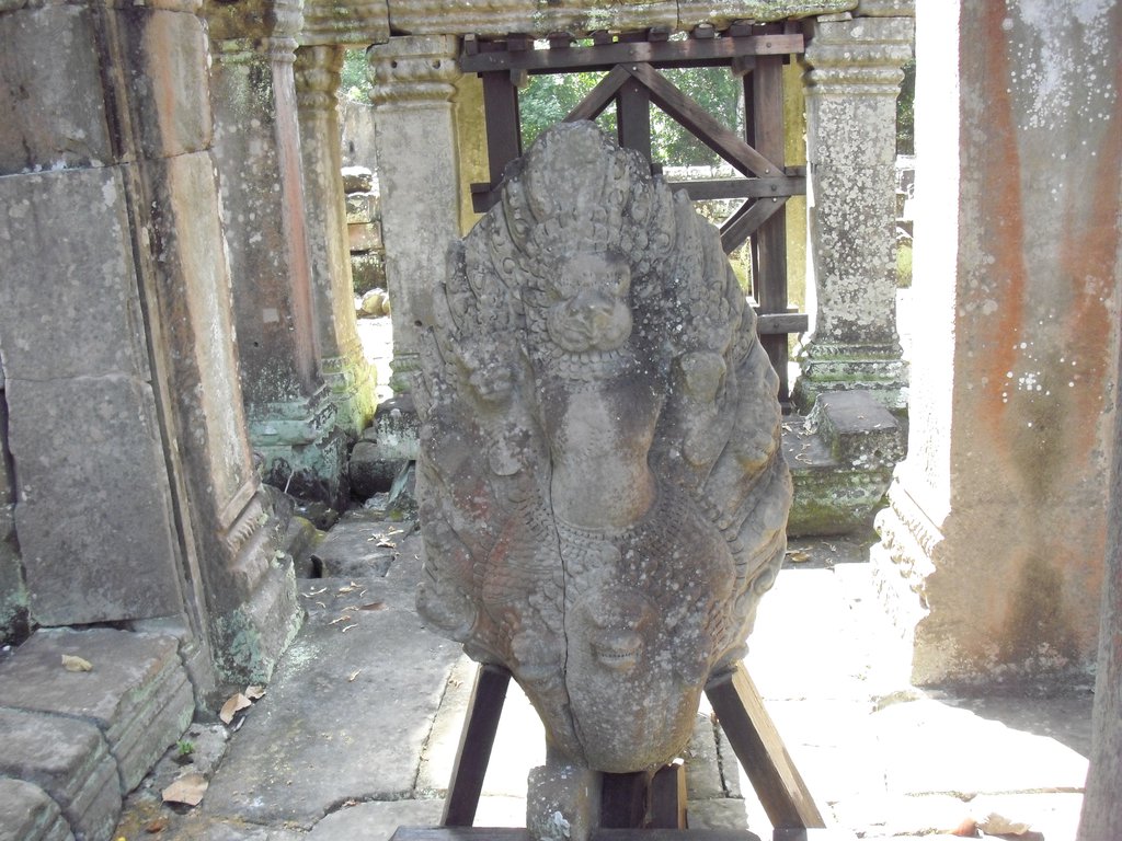 Image CIMG3178.JPG