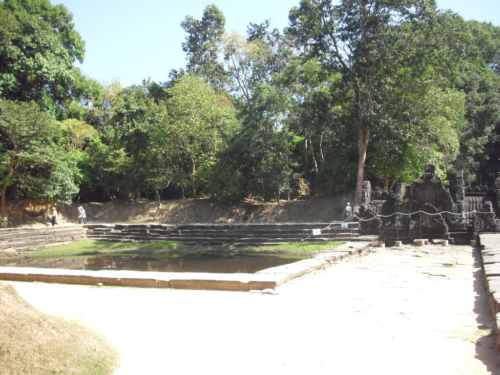 Image CIMG3183.JPG
