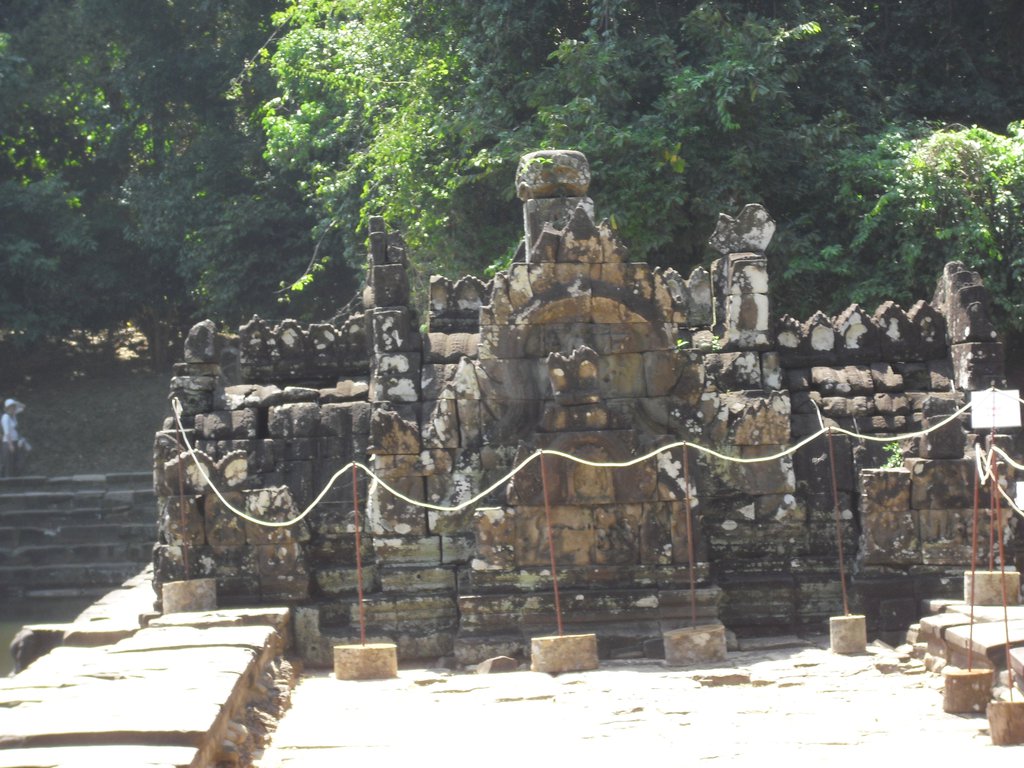 Image CIMG3186.JPG