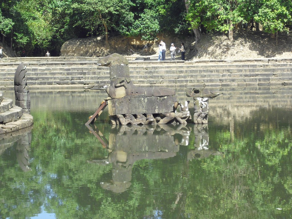 Image CIMG3191.JPG