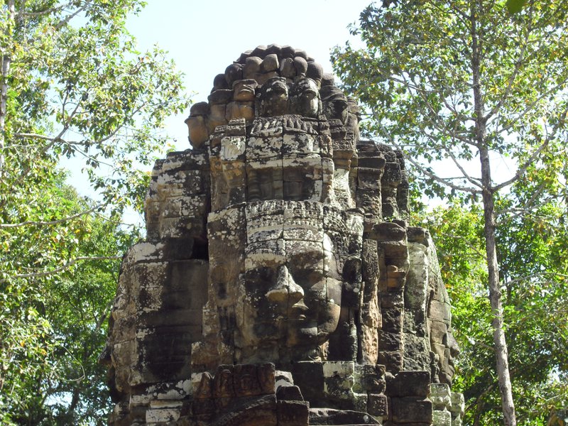 Image CIMG3194.JPG