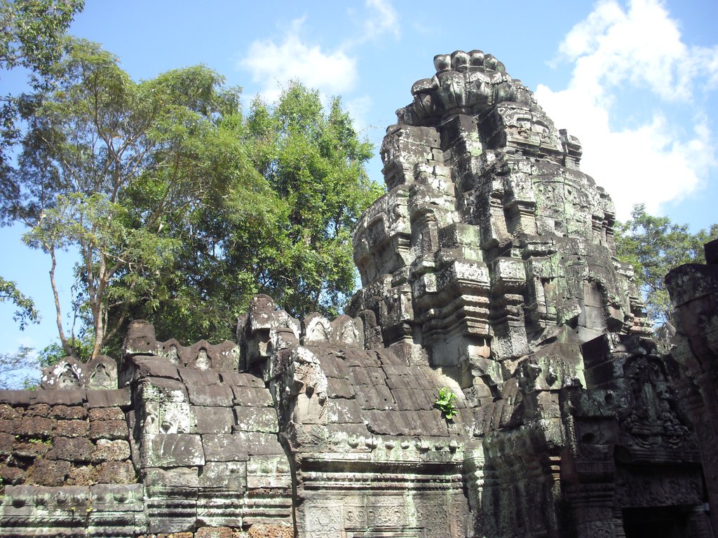 Image CIMG3204.JPG