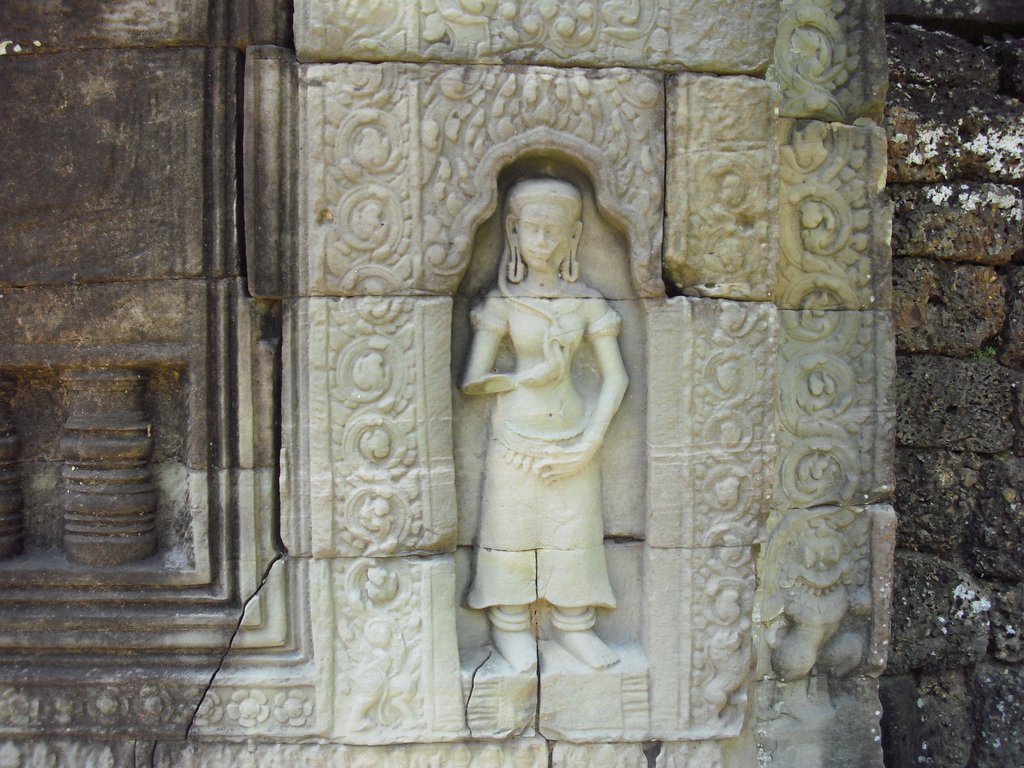 Image CIMG3205.JPG