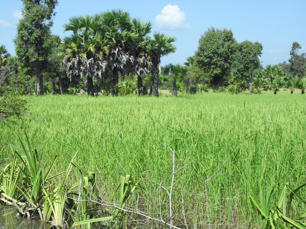 Image CIMG3207.JPG