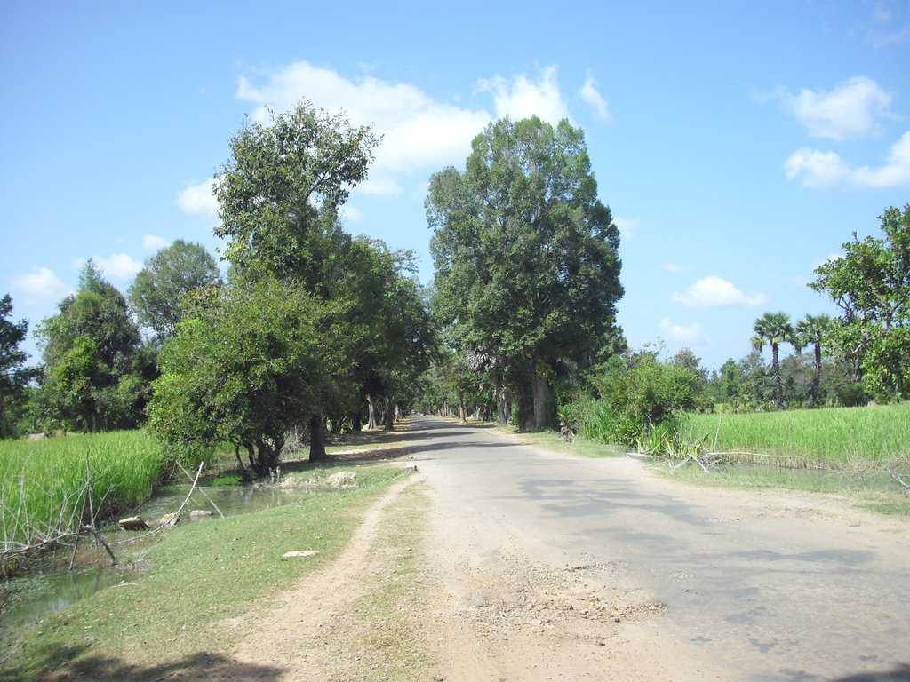 Image CIMG3209.JPG