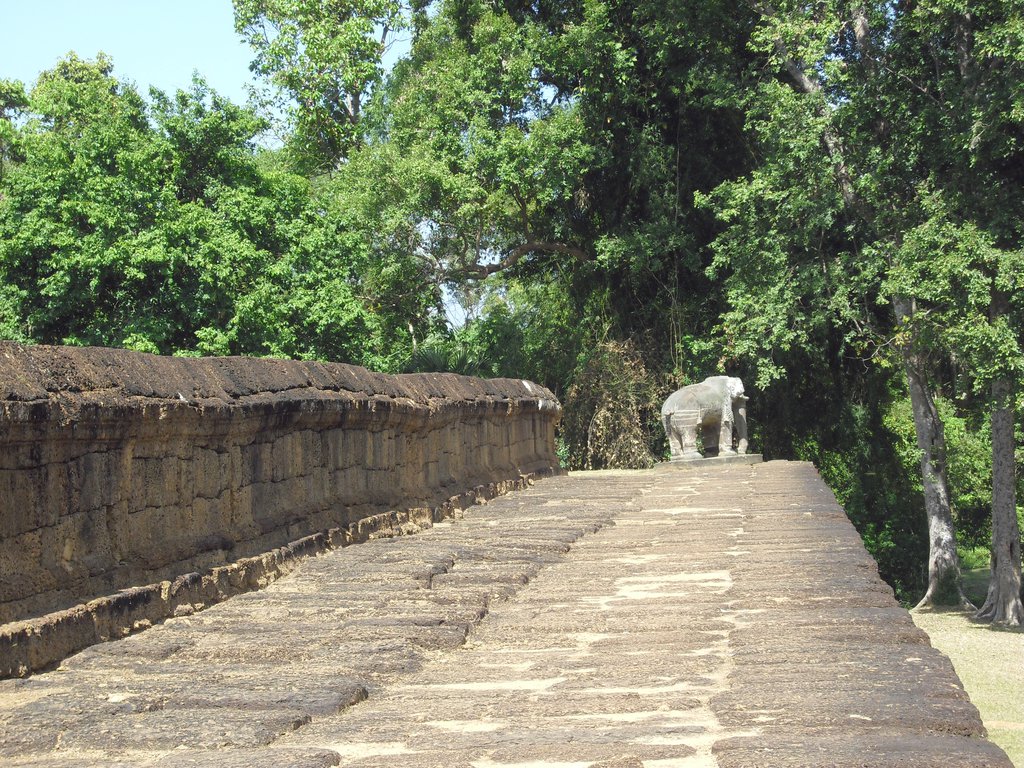 Image CIMG3211.JPG