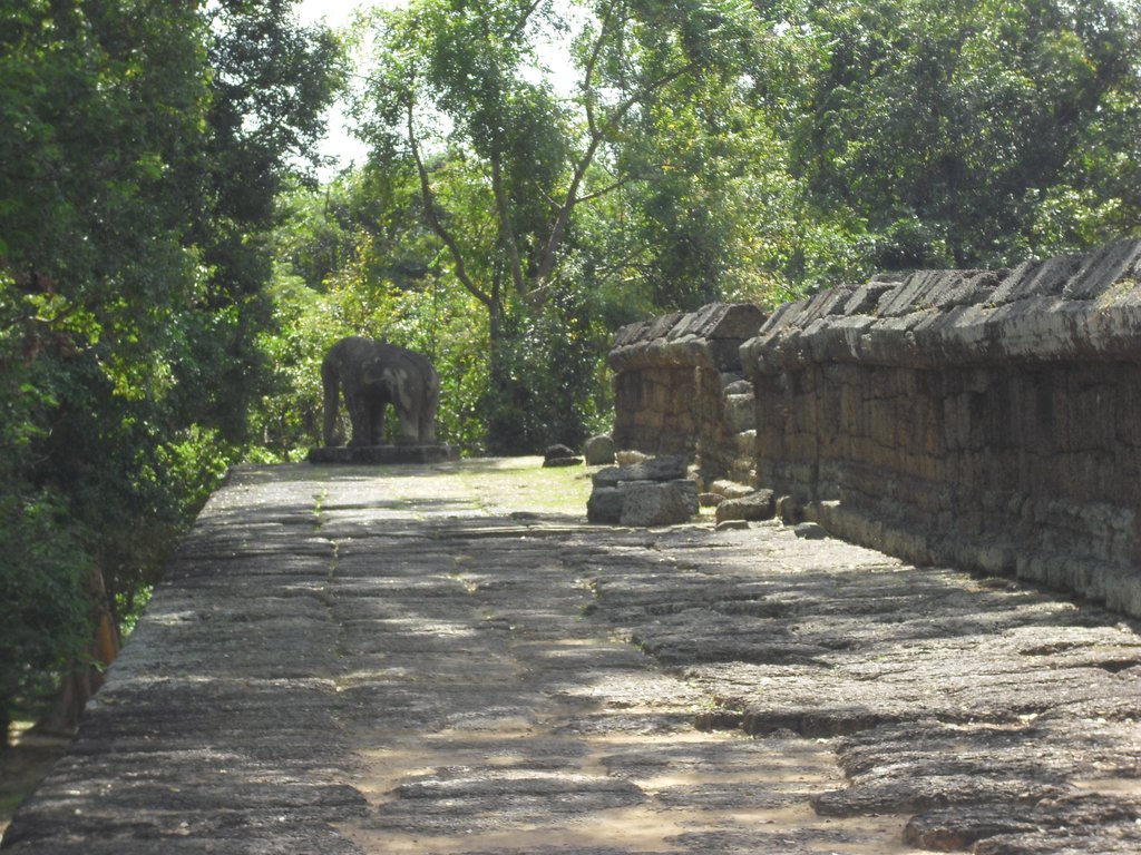 Image CIMG3212.JPG
