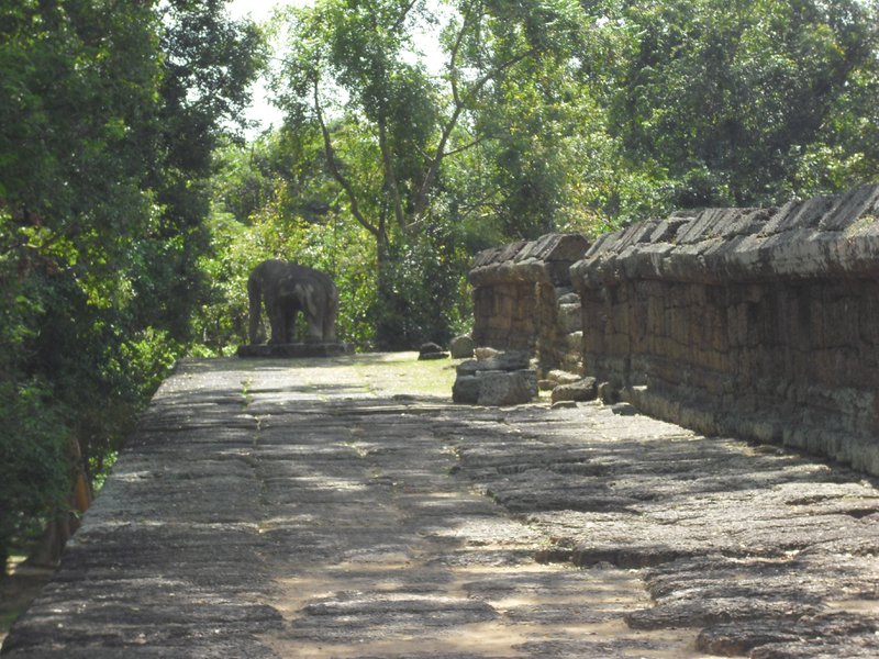 Image CIMG3212.JPG