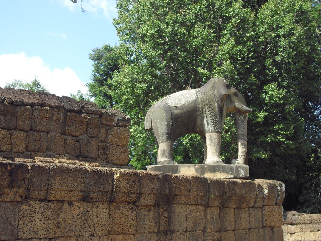 Image CIMG3214.JPG