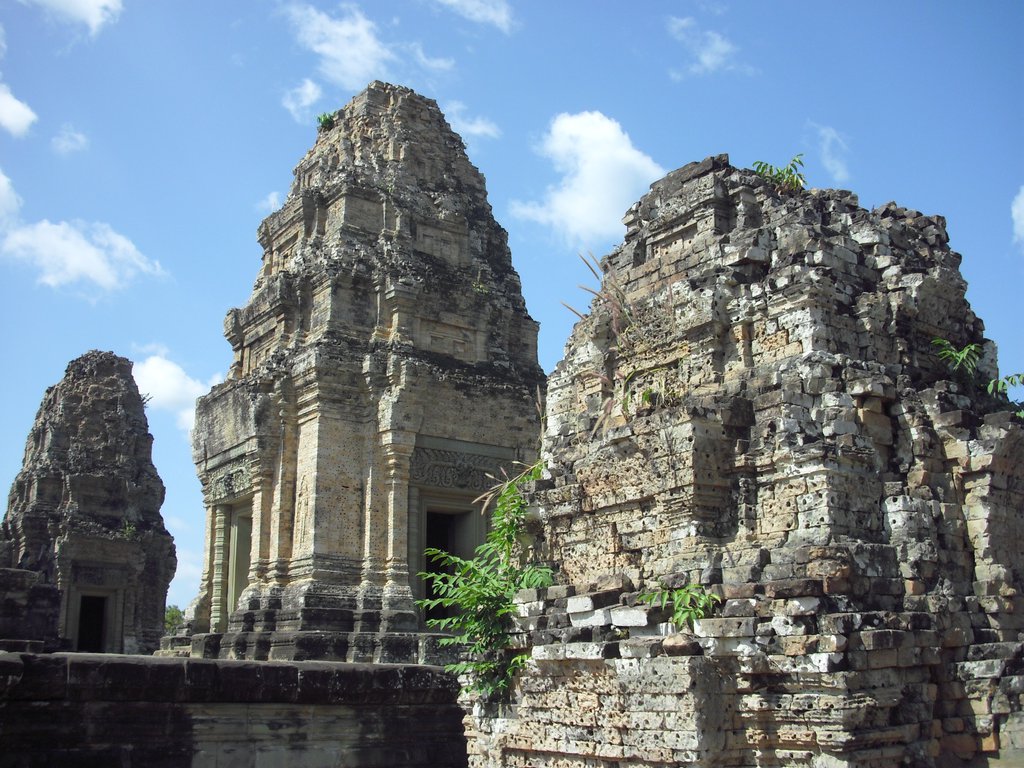 Image CIMG3217.JPG