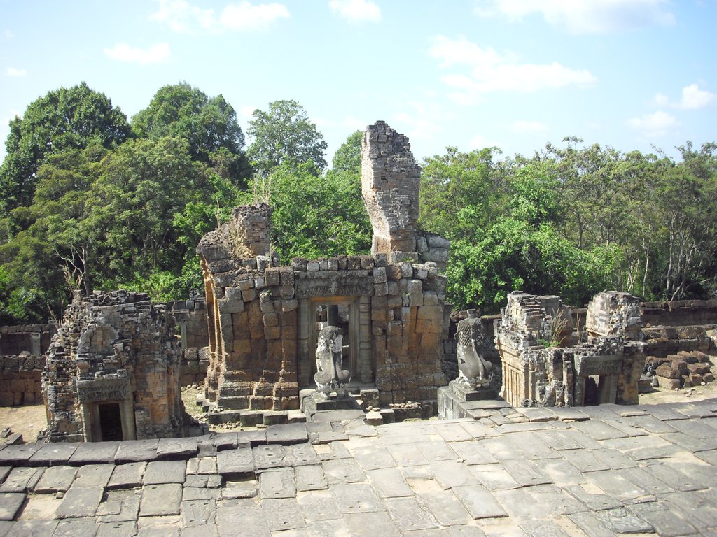 Image CIMG3223.JPG