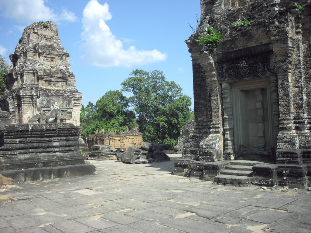 Image CIMG3226.JPG