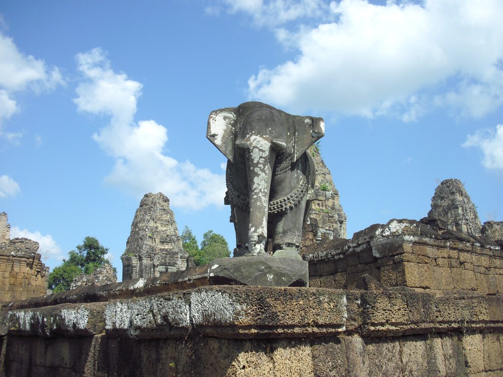 Image CIMG3233.JPG