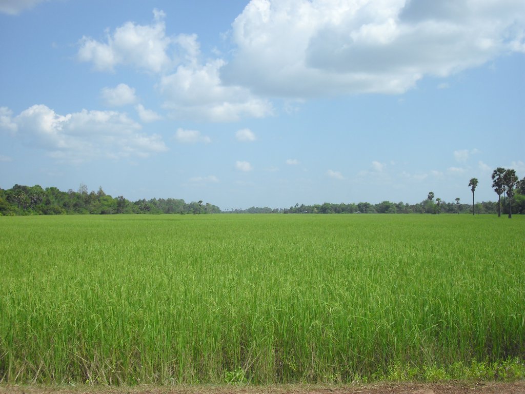 Image CIMG3234.JPG