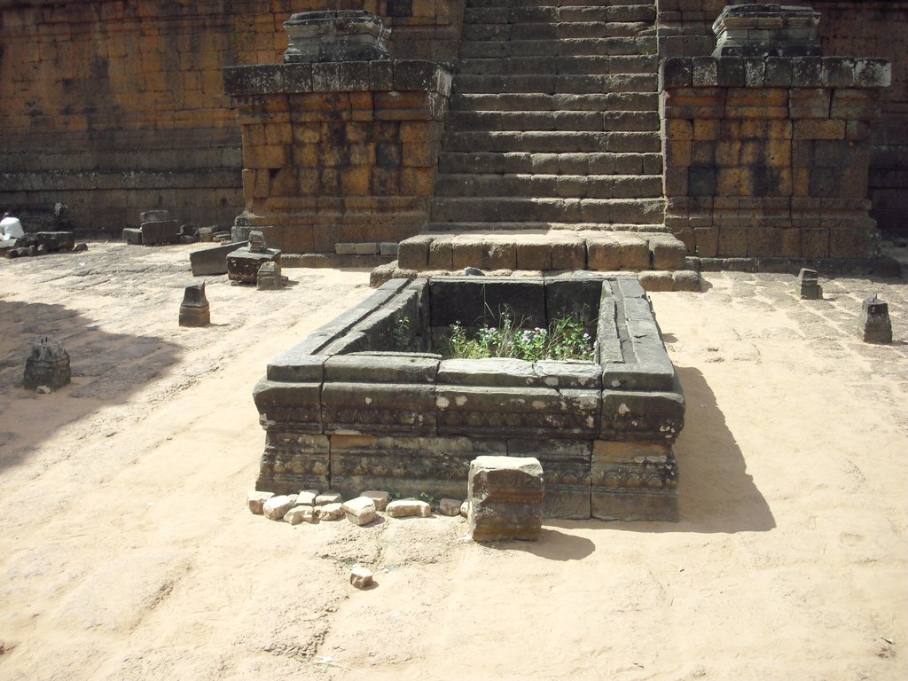 Image CIMG3241.JPG