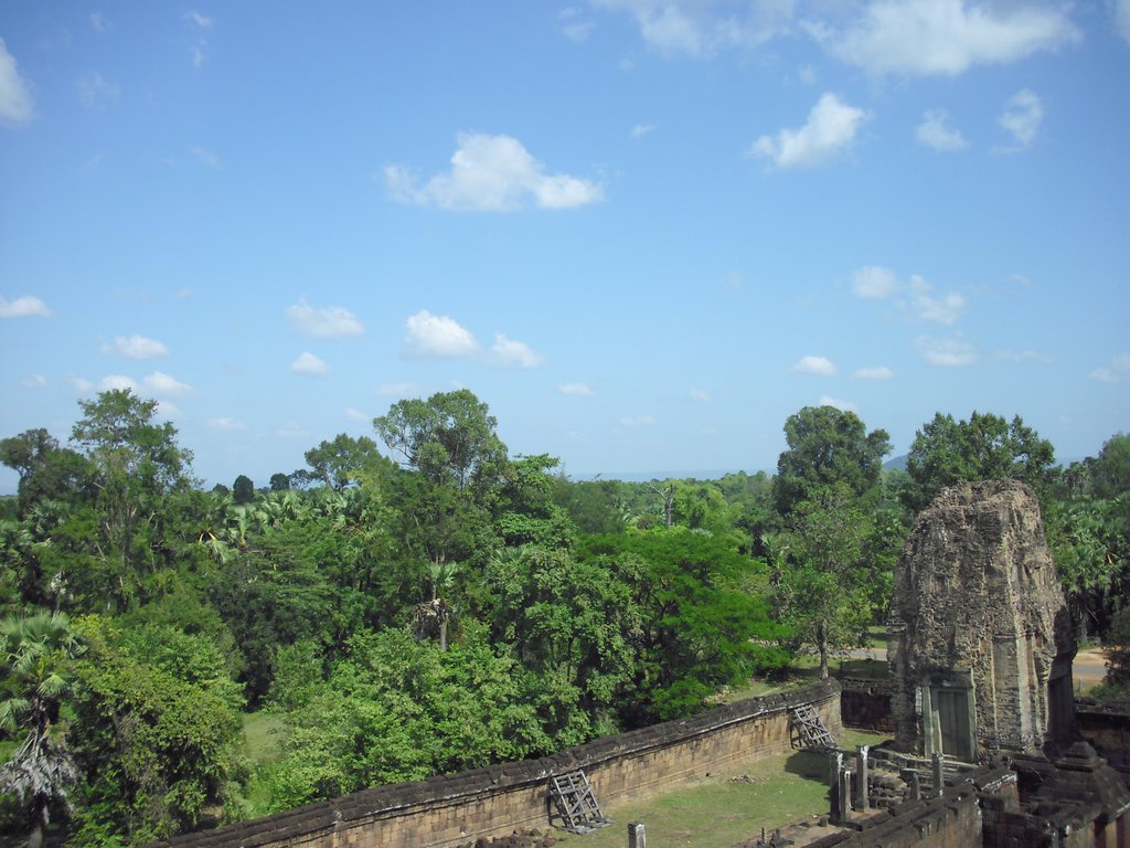 Image CIMG3245.JPG