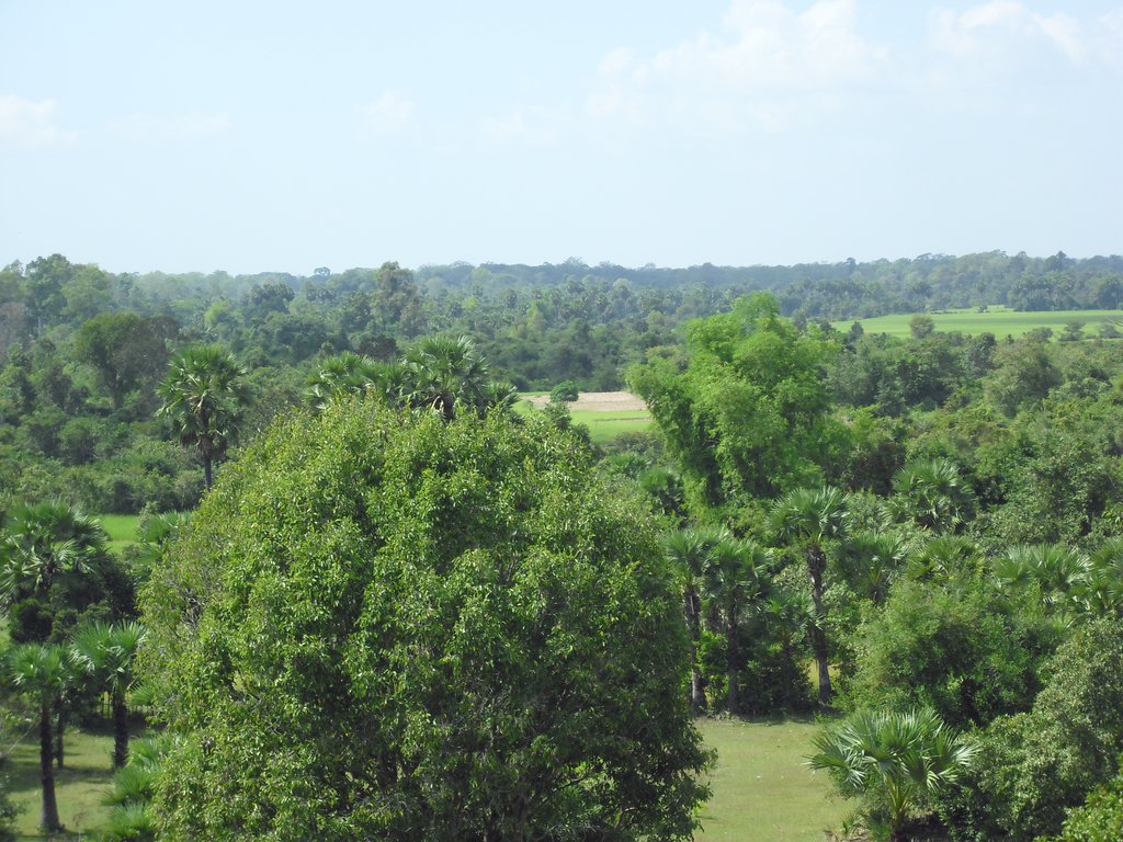Image CIMG3250.JPG