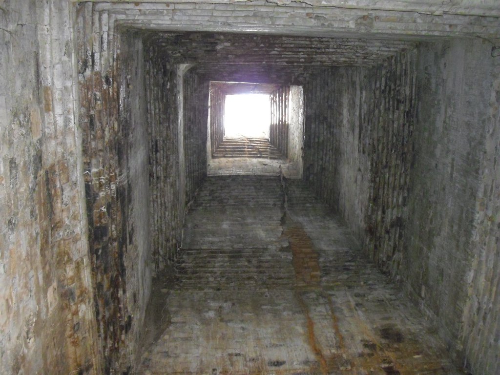 Image CIMG3252.JPG