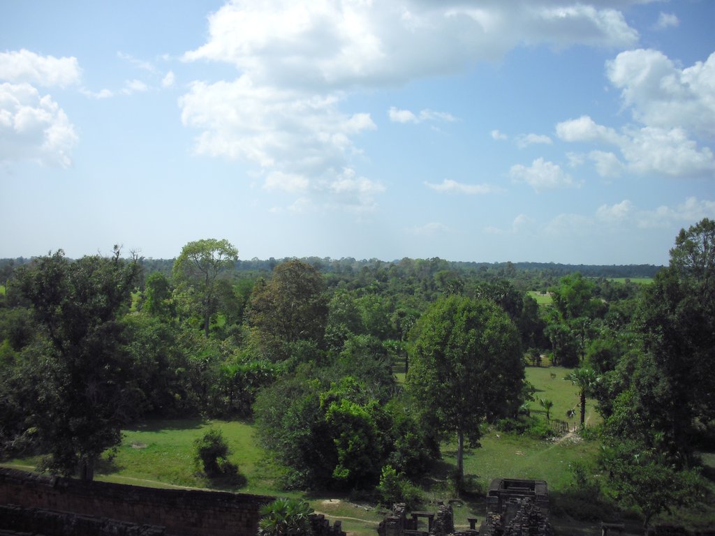 Image CIMG3256.JPG