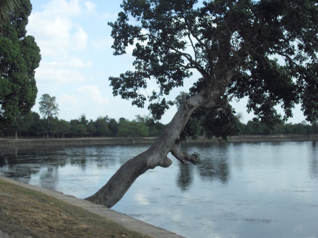 Image CIMG3258.JPG