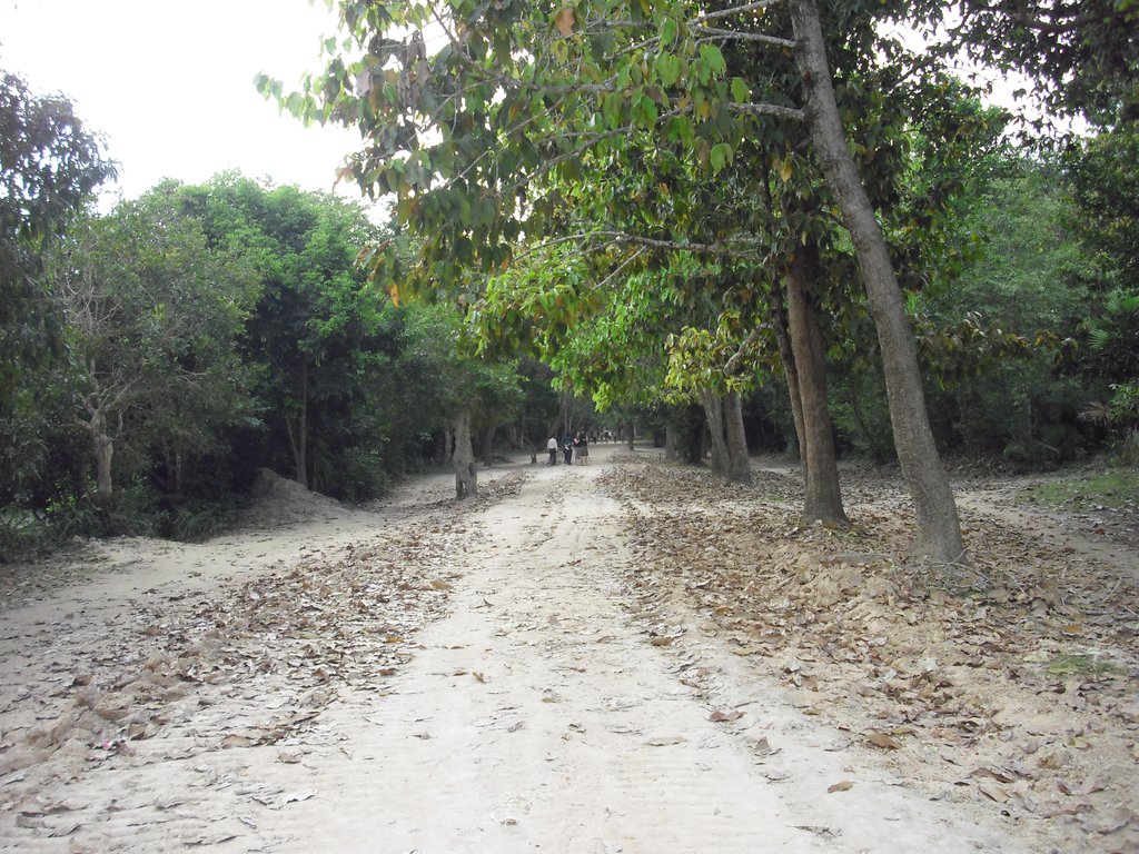 Image CIMG3262.JPG