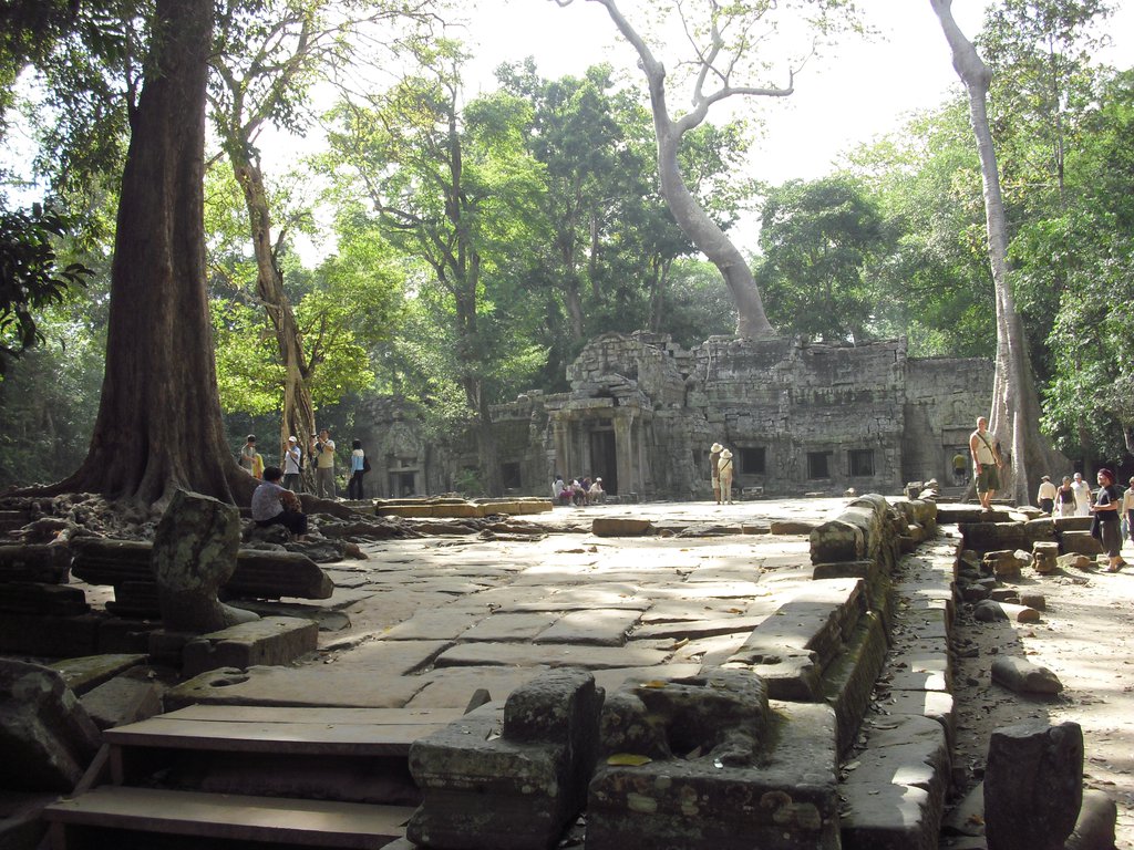 Image CIMG3265.JPG