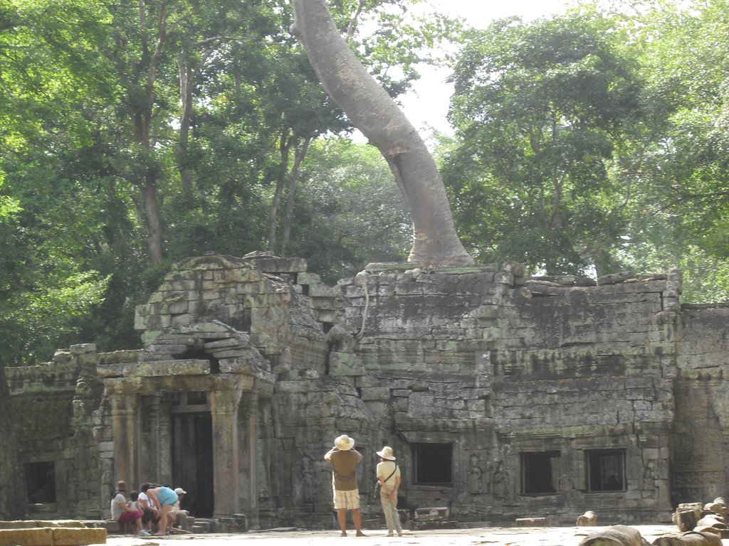 Image CIMG3266.JPG