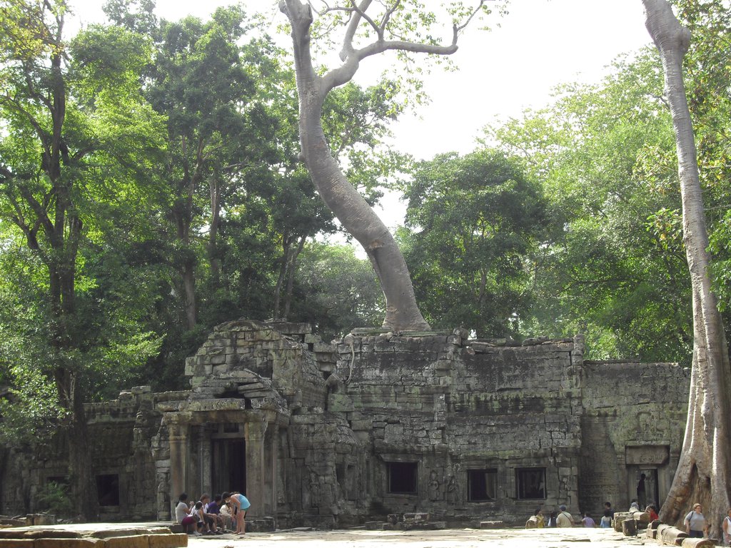 Image CIMG3268.JPG