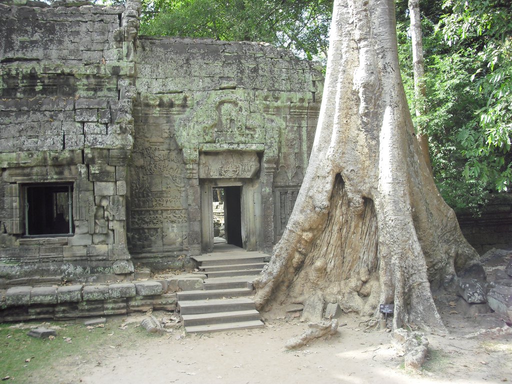 Image CIMG3269.JPG