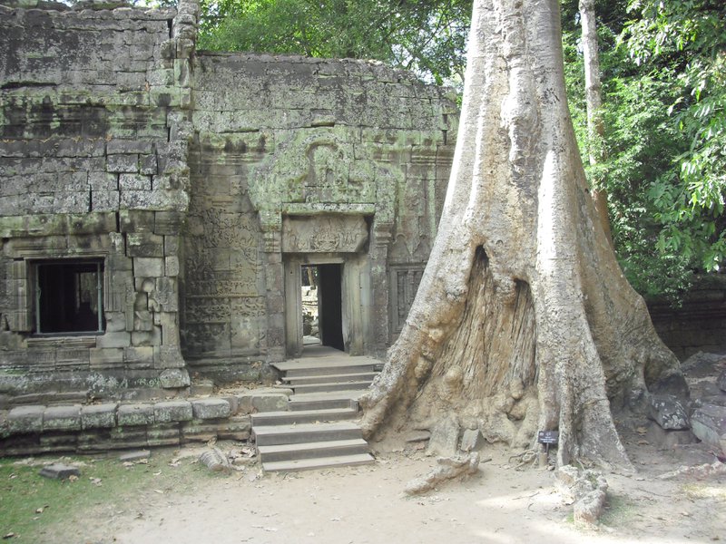 Image CIMG3269.JPG