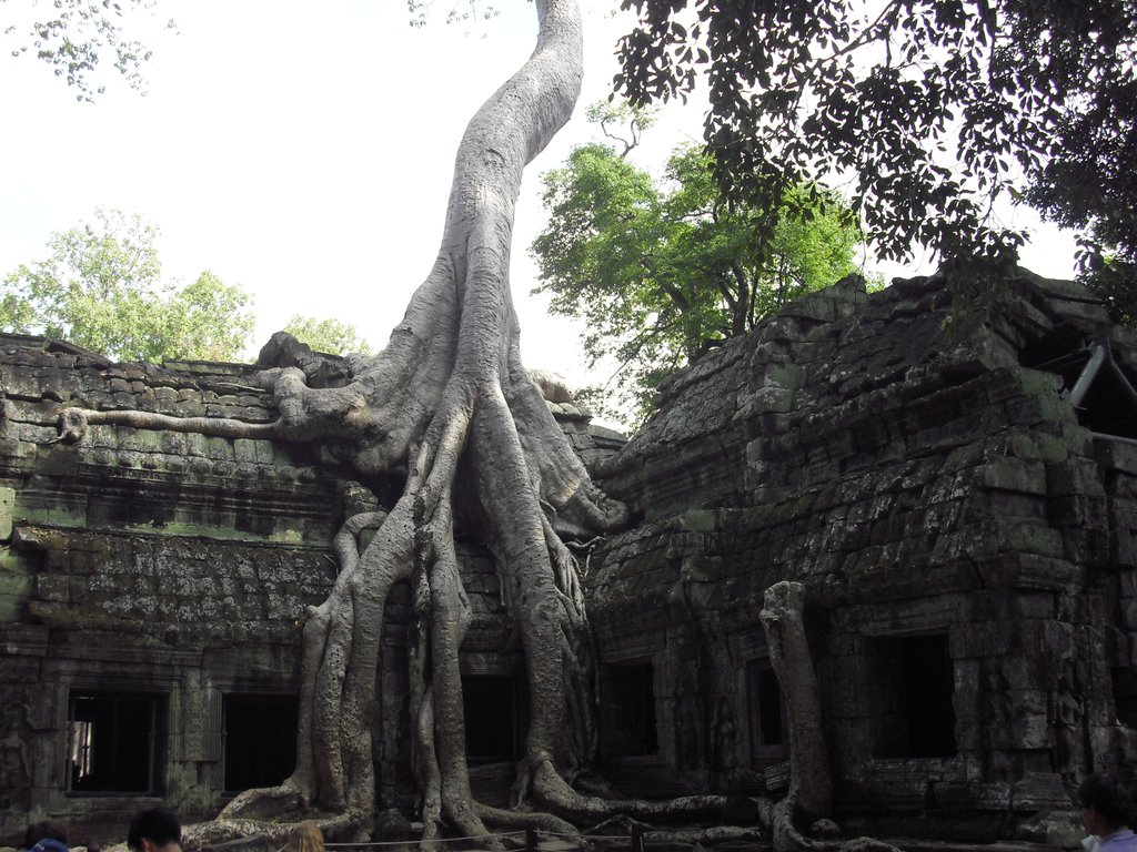 Image CIMG3273.JPG