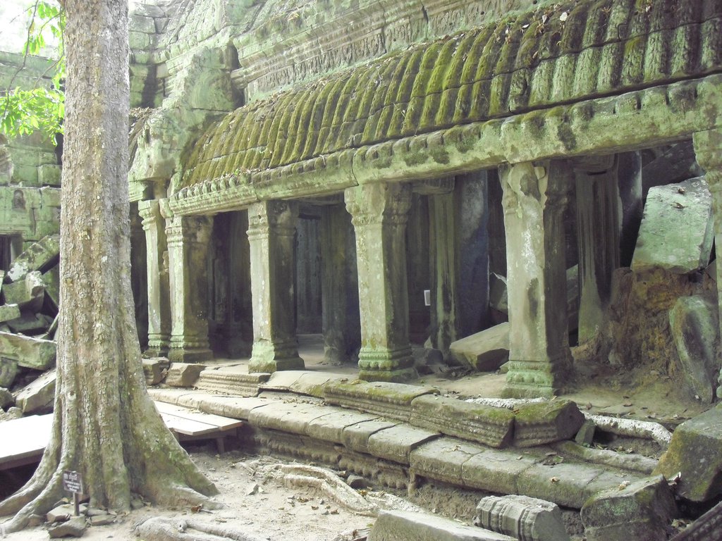 Image CIMG3279.JPG