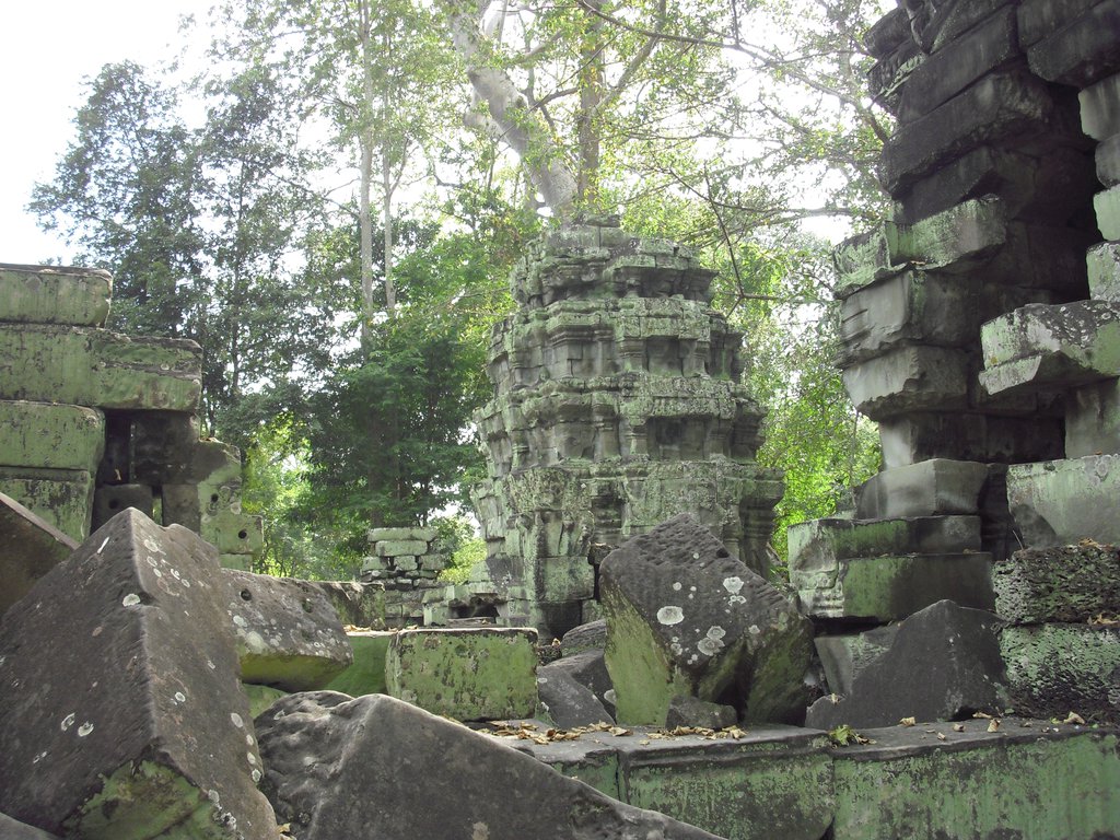 Image CIMG3283.JPG