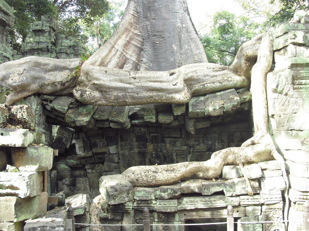Image CIMG3284.JPG