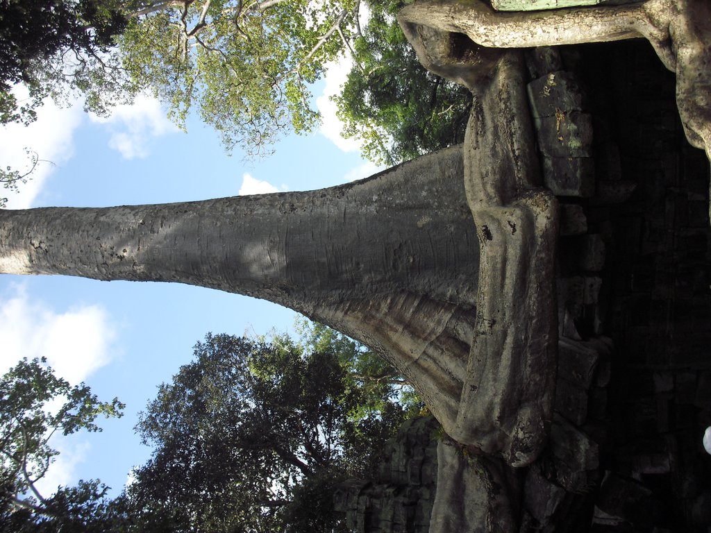 Image CIMG3285.JPG