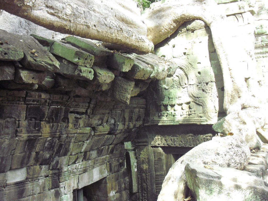 Image CIMG3288.JPG