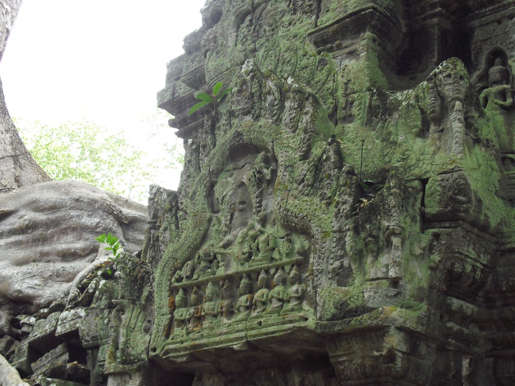Image CIMG3292.JPG