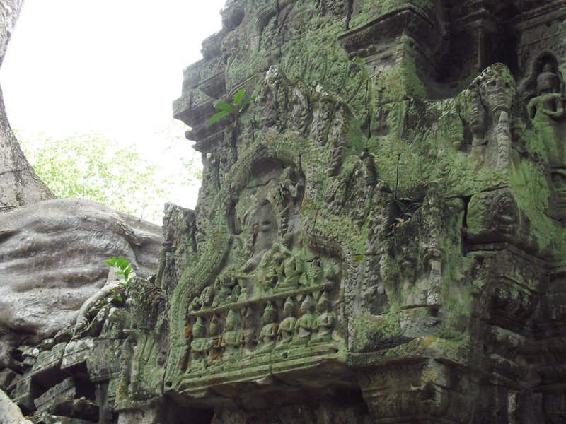 Image CIMG3292.JPG