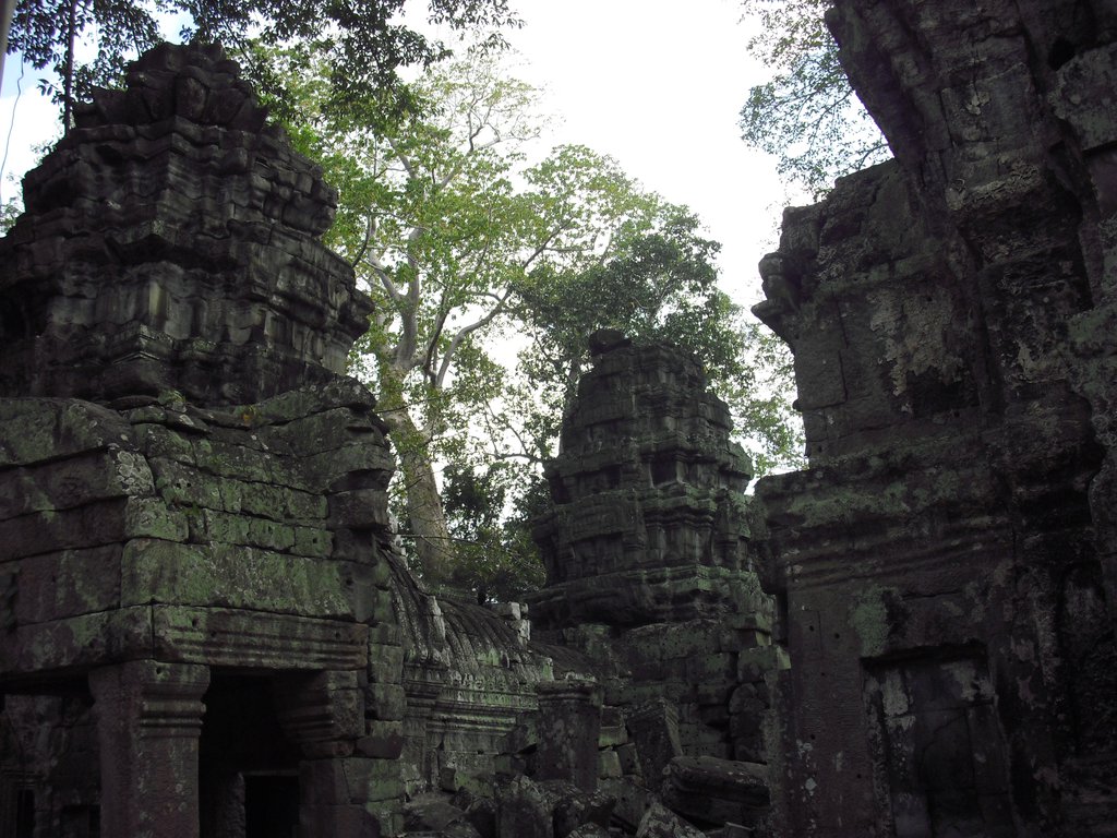 Image CIMG3298.JPG