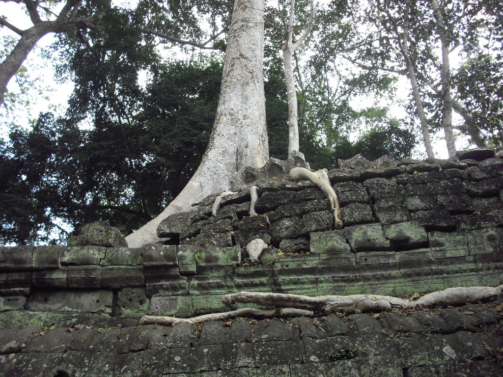 Image CIMG3308.JPG