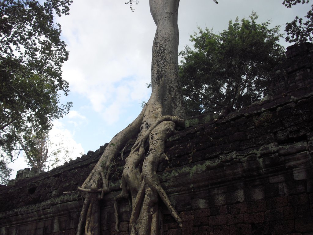 Image CIMG3312.JPG