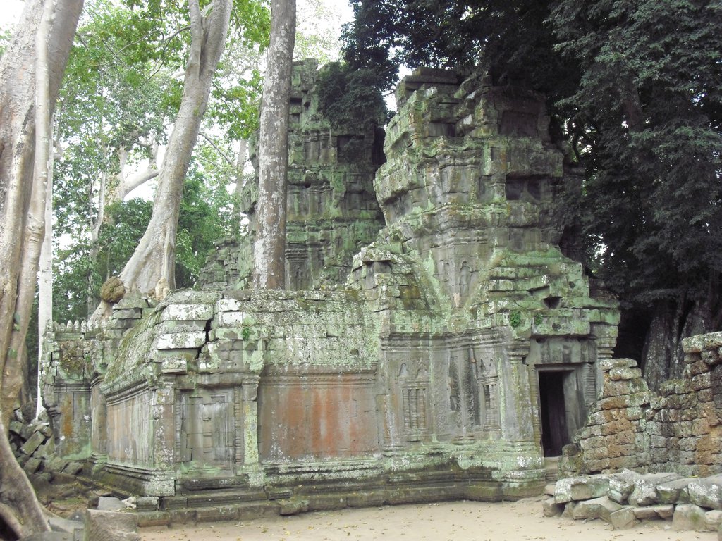 Image CIMG3314.JPG