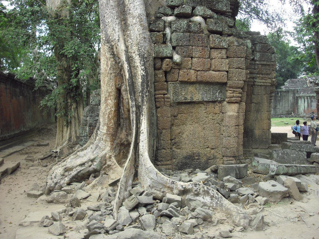 Image CIMG3315.JPG