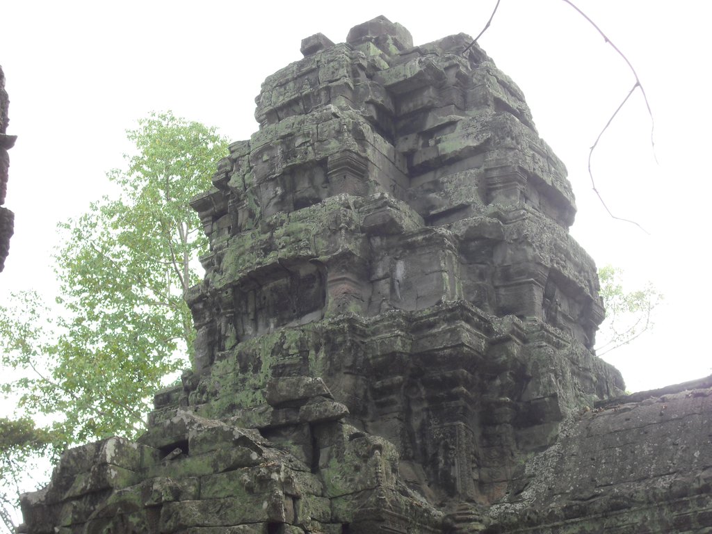Image CIMG3320.JPG