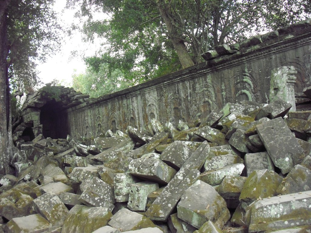 Image CIMG3321.JPG