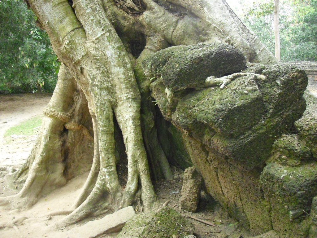 Image CIMG3323.JPG